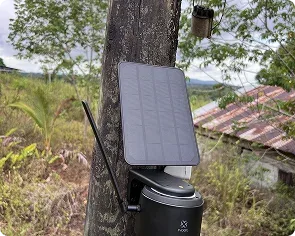 Caméra de surveillance solaire autonome fixée à un arbre pour protéger un domicile en Guyane